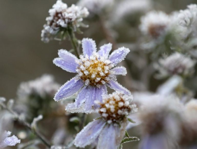 TEMPO FRIO VAI MANTER-SE PELO MENOS ATÉ AO FINAL DA SEMANA