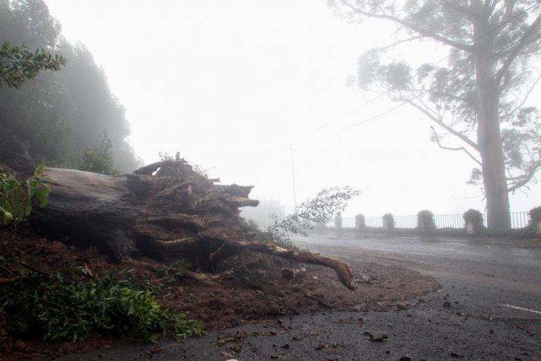PROTEÇÃO CIVIL DA MADEIRA EMITE RECOMENDAÇÕES PARA A REGIÃO DEVIDO AO MAU TEMPO