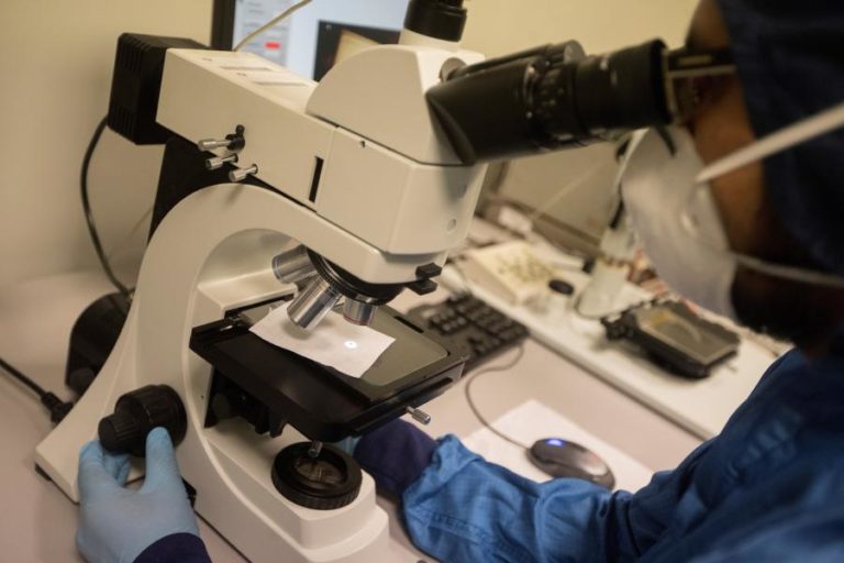 CIENTISTAS IDENTIFICAM CÉLULAS NOS PULMÕES QUE MELHORAM DEFESAS CONTRA VÍRUS GRIPAL