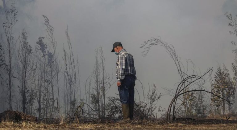 PRORROGADO PRAZO PARA APOIO A EXPLORAÇÕES AGRÍCOLAS AFETADAS POR FOGOS DE 2020