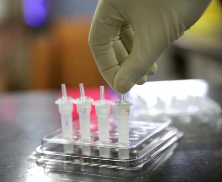 COVID-19: SURTO EM LAR COM 50 INFETADOS DEPOIS DA VACINA EM ALFÂNDEGA DA FÉ