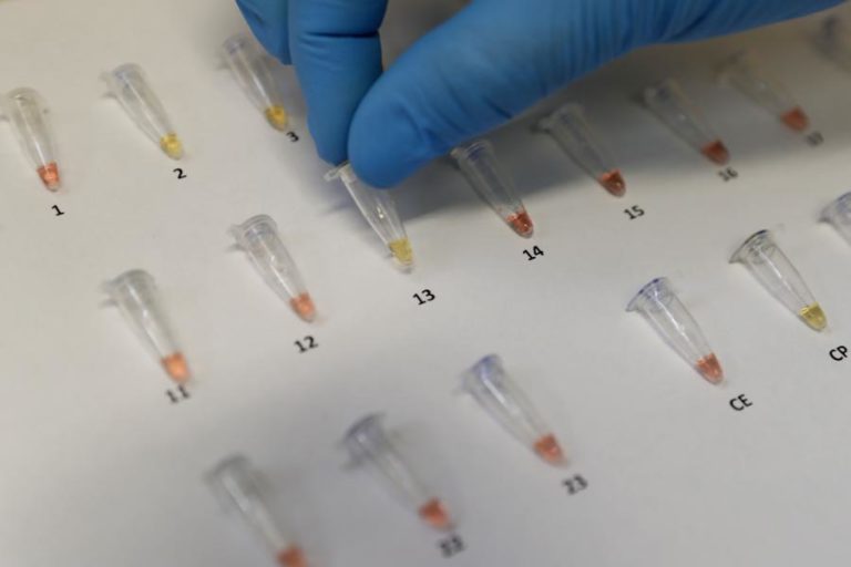 COVID-19: MEDICAMENTO ESPANHOL REDUZ QUASE TOTALMENTE CARGA VIRAL DO SARS-COV-2 – ESTUDO