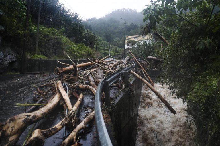 MAU TEMPO: CASA DESABA AO SER ATINGIDA POR DUAS DERROCADAS NA MADEIRA