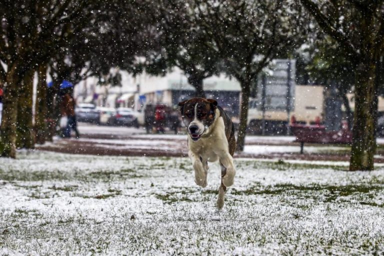 PORTUGAL CONTINENTAL CONTINUA SOB AVISO AMARELO POR CAUSA DO TEMPO FRIO