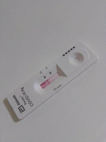 Foto: Wikimedia Commons