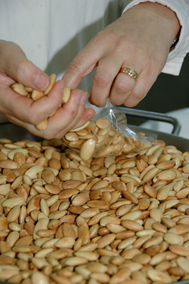 Empresa espanhola de produção de amêndoa instala-se em Idanha-a-Nova