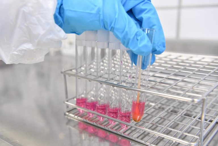 Investigadoras distinguidas por estudos sobre visão, cancro, cádmio e carbono