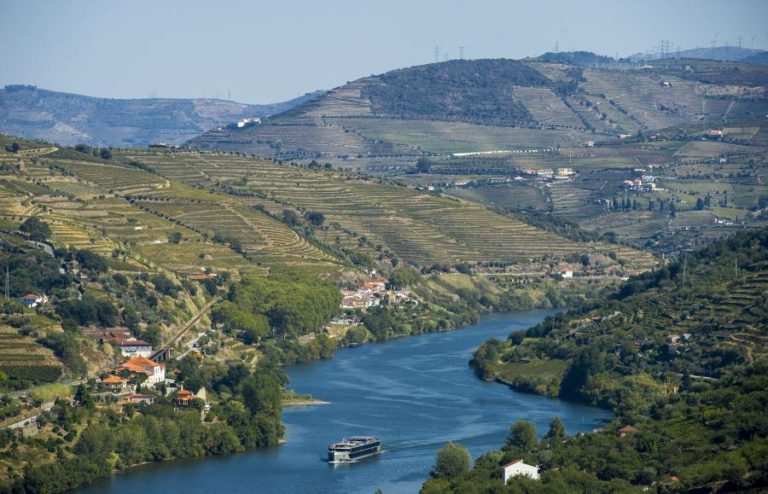Vinhos do Douro e Porto reforçam promoção para os 2,5 ME em 2021