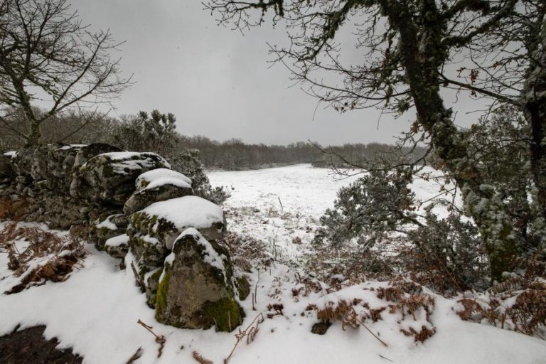 Guarda e Castelo Branco sob aviso amarelo devido à queda de neve