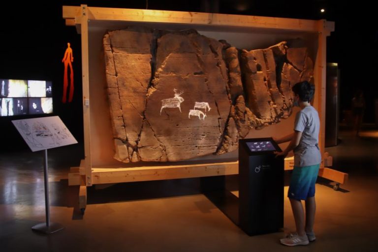 Professora Aida Maria Oliveira Carvalho é a nova presidente da Fundação Côa Parque