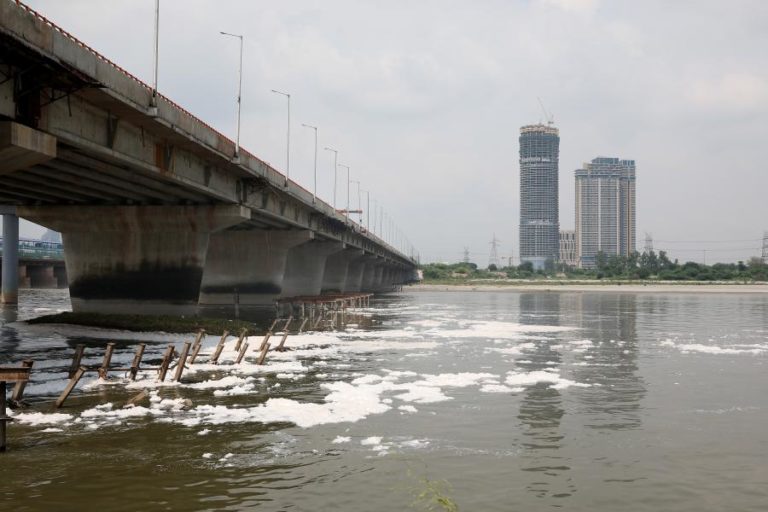 Estudo alerta para a fraca qualidade ecológica dos rios em todo o mundo