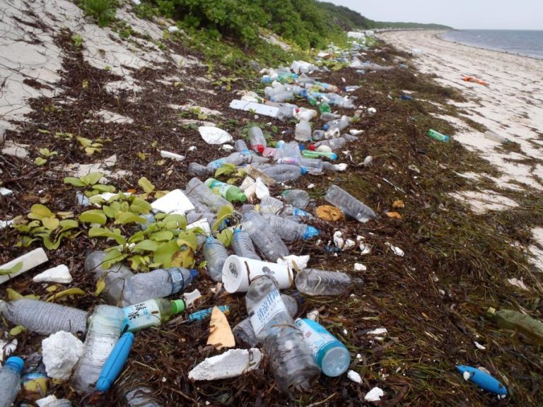 Projeto europeu vai remover, reciclar e devolver o lixo marinho ao mercado