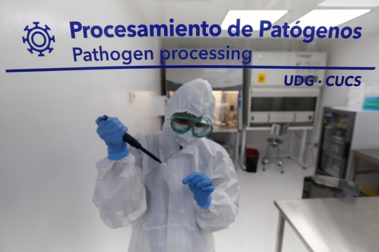 Covid-19: Nova variante provoca 87% dos casos no México em fevereiro