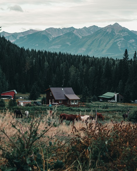 FOTO: unsplash