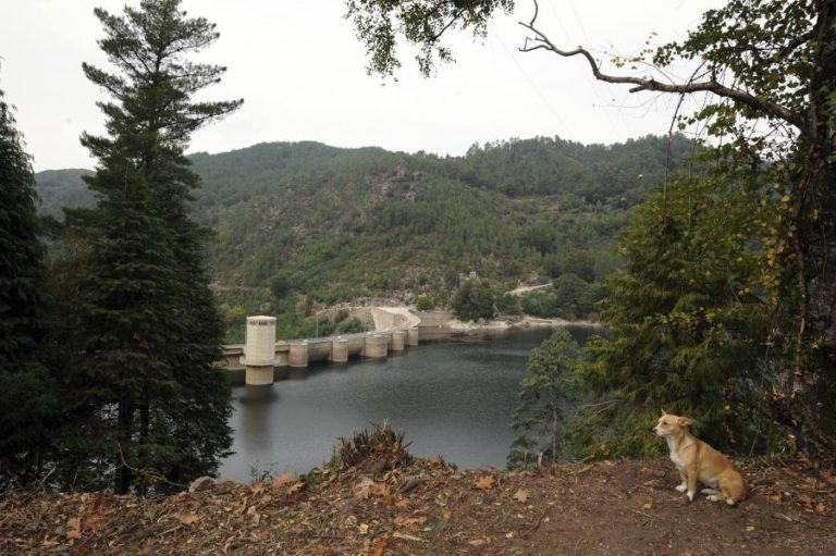 APA considerou não estarem reunidas condições para venda das barragens