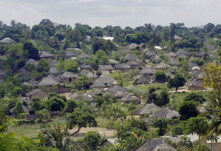 Moçambique/Ataques: Províncias de Nampula e Niassa fornecem combatentes aos grupos armados – estudo