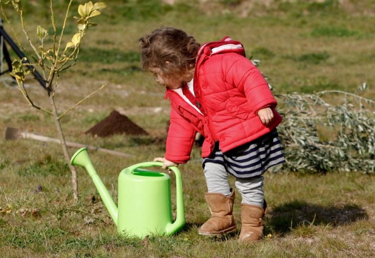 Setor agrícola responsável por 75% da água utilizada em Portugal — estudo