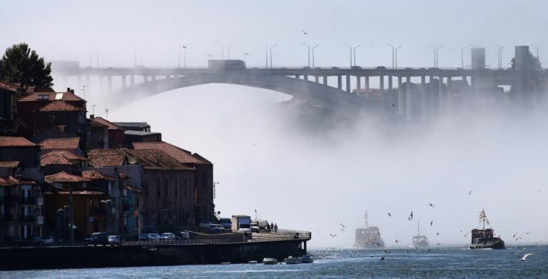 Ponte da Arrábida com trânsito condicionado à noite até sábado devido a obras