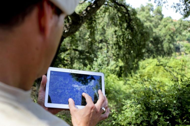 GNR identifica 7.975 locais de possível incumprimento na limpeza de terrenos