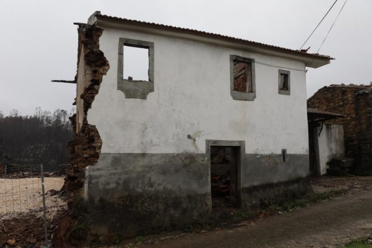 Pedrógão Grande: Comissão defende criação de fundo permanente para ajuda humanitária