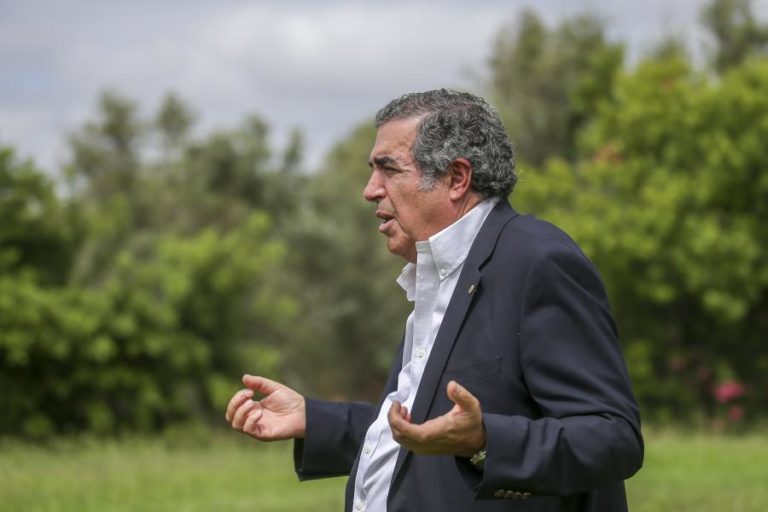 Veterinários consideram “erro histórico” transferência de competências dos animais de companhia