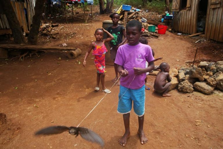 Covid-19: Unicef apresenta ao Governo são-tomense plano de “reabertura segura” de aulas
