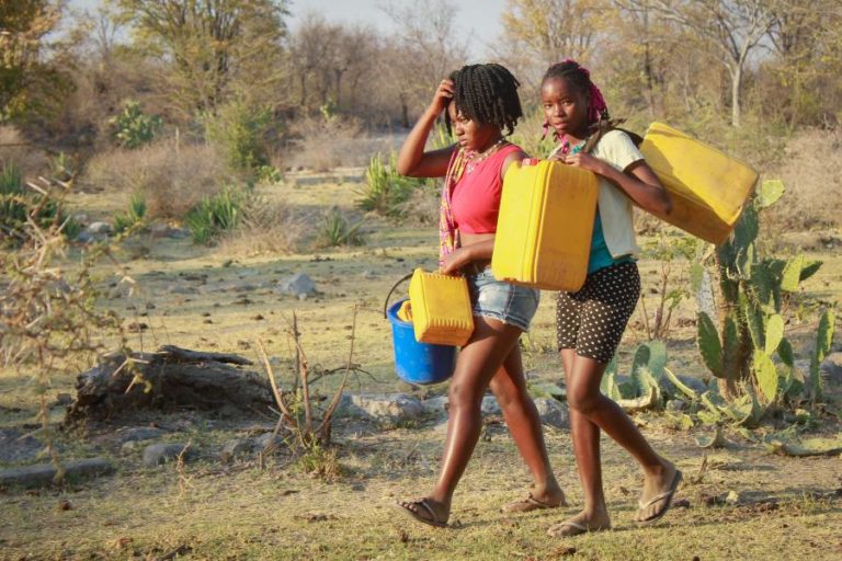 Seca severa mata diariamente entre 20 a 30 cabeças de gado em Benguela