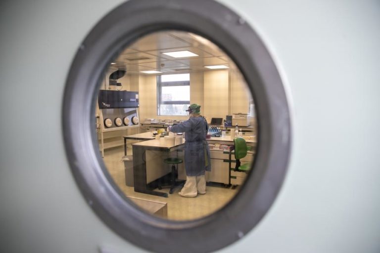 Covid-19: Variante originária do Reino Unido detetada em 58% das amostras do INSA