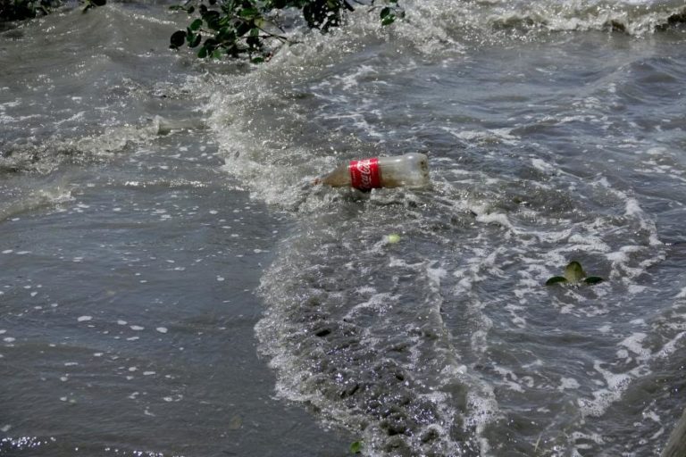 Proteção do oceano permite salvaguardar clima, pesca e biodiversidade