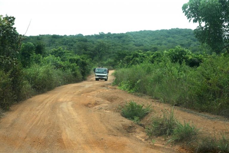 Ambientalista angolano denuncia exploração de recursos “ao arrepio da lei” em zonas protegidas