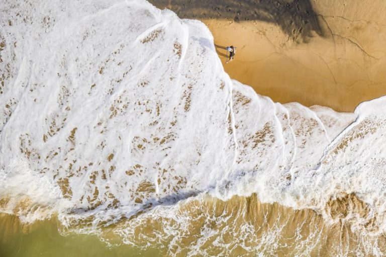 Pradarias marinhas podem reverter acidificação da água do mar