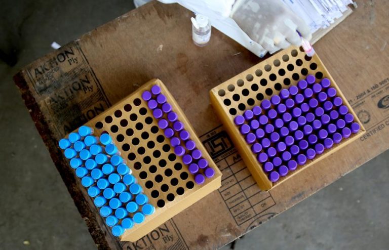 Covid-19: Madeira reportou 23 novos casos e 58 doentes recuperados