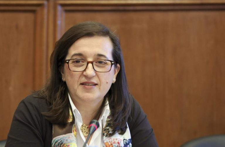 Autoridade Tributária teria sempre analisado venda das barragens pela EDP — Diretora-geral