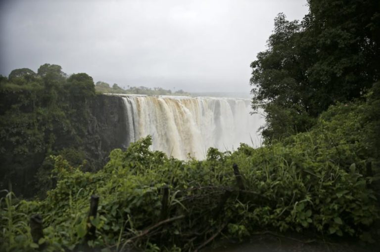 Só 2% a 3% do planeta permanece ecologicamente intacto