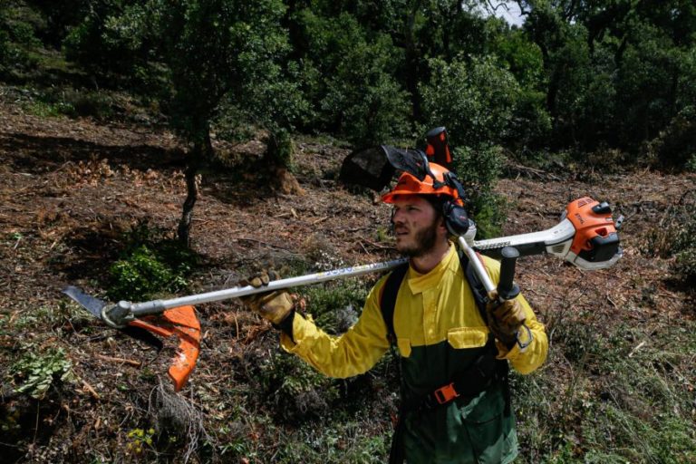 Incêndios: Parlamento recomenda prorrogação para 31 de maio da limpeza de terrenos