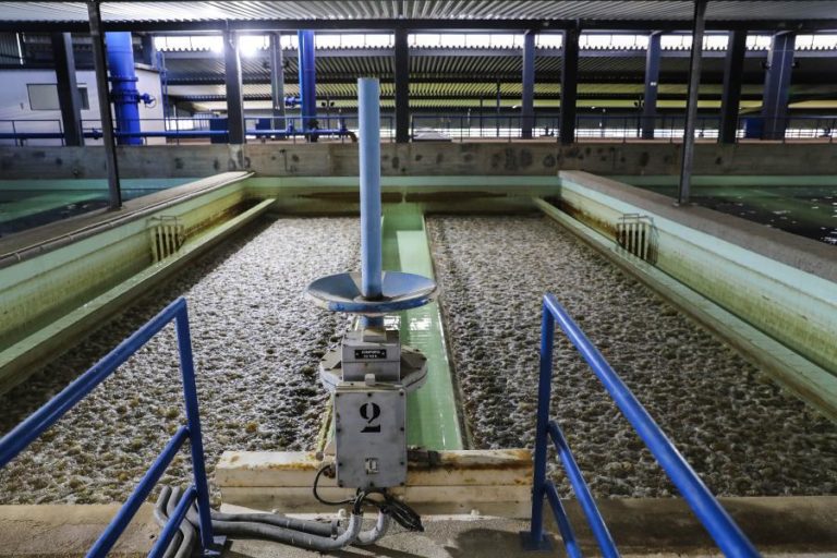 Hidrogénio: O projeto da EPAL que deve “orgulhar o país”