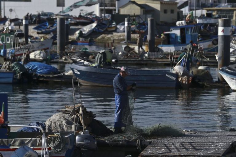 Covid-19: Apoios aos pescadores atingem 1,2 milhões de euros — ministro do Mar