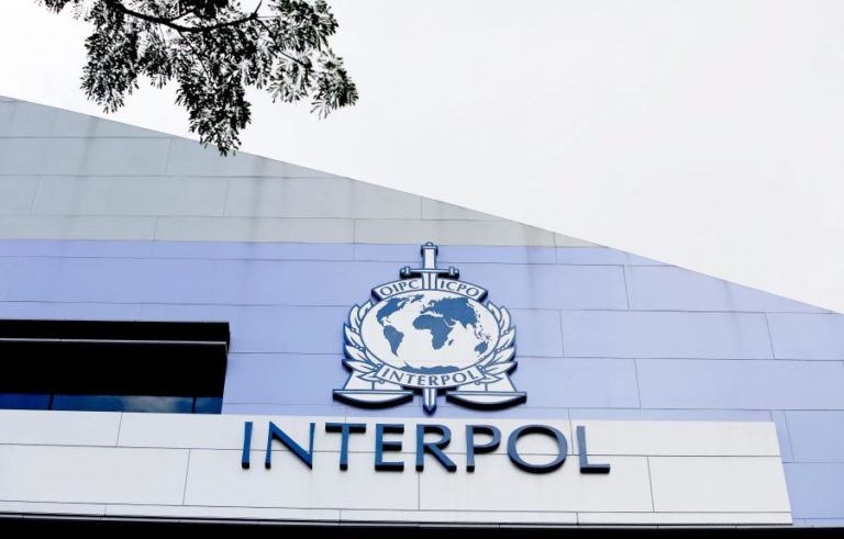 Interpol deteve 585 pessoas na Ásia acusadas de fraudes através da internet
