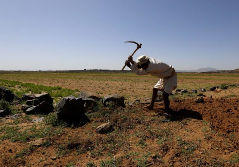 Um terço da produção alimentar mundial em risco caso se mantenham emissões de gases — estudo