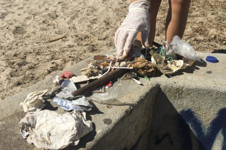 Associação Electrão procura pessoas que querem salvar o planeta