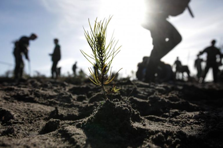 Incêndios: Meios de combate reforçados a partir de hoje