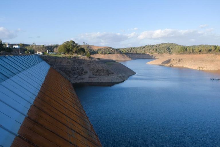 Quedas na biodiversidade manifestam-se em Portugal na flora, peixes e aves