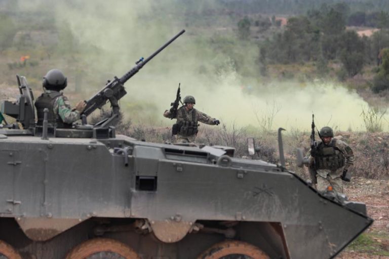 Exercício internacional Orion envolve 1650 militares e 200 viaturas em território português