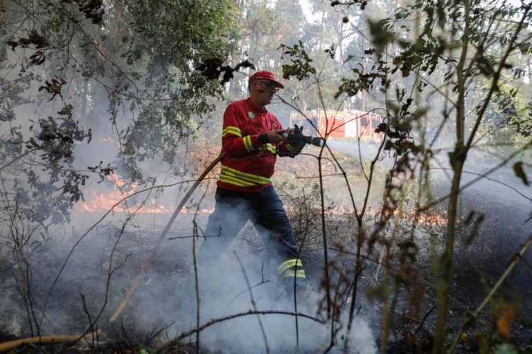 Dez concelhos de quatro distritos do país em risco muito elevado de incêndio