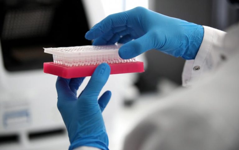 Covid-19: Surto já com 11 casos na Escola Gabriel Pereira em Évora