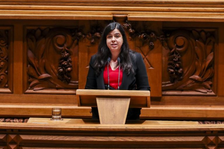 Lista de Inês Sousa Real à direção é a única a apresentar-se ao congresso do PAN
