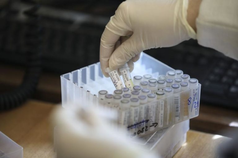 Covid-19: Número de casos de variantes indianas está a aumentar na União Europeia