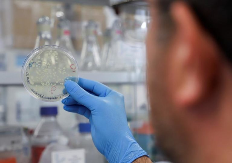 Covid-19: EUA pedem investigação “transparente” sobre origem do vírus
