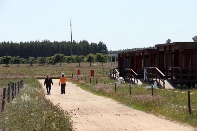Covid-19: Tribunal já emitiu notificação ao Governo sobre providência cautelar do Zmar