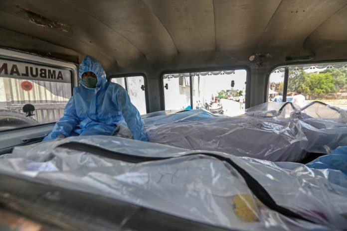 31481587.jpg